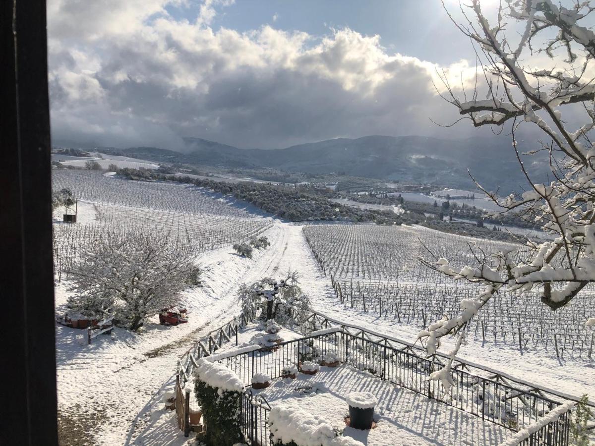 Azienda Agricola Il Poggiolino Villa Pelago Buitenkant foto