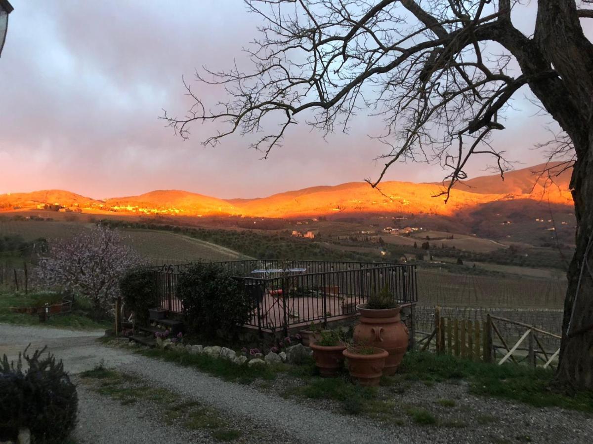 Azienda Agricola Il Poggiolino Villa Pelago Buitenkant foto