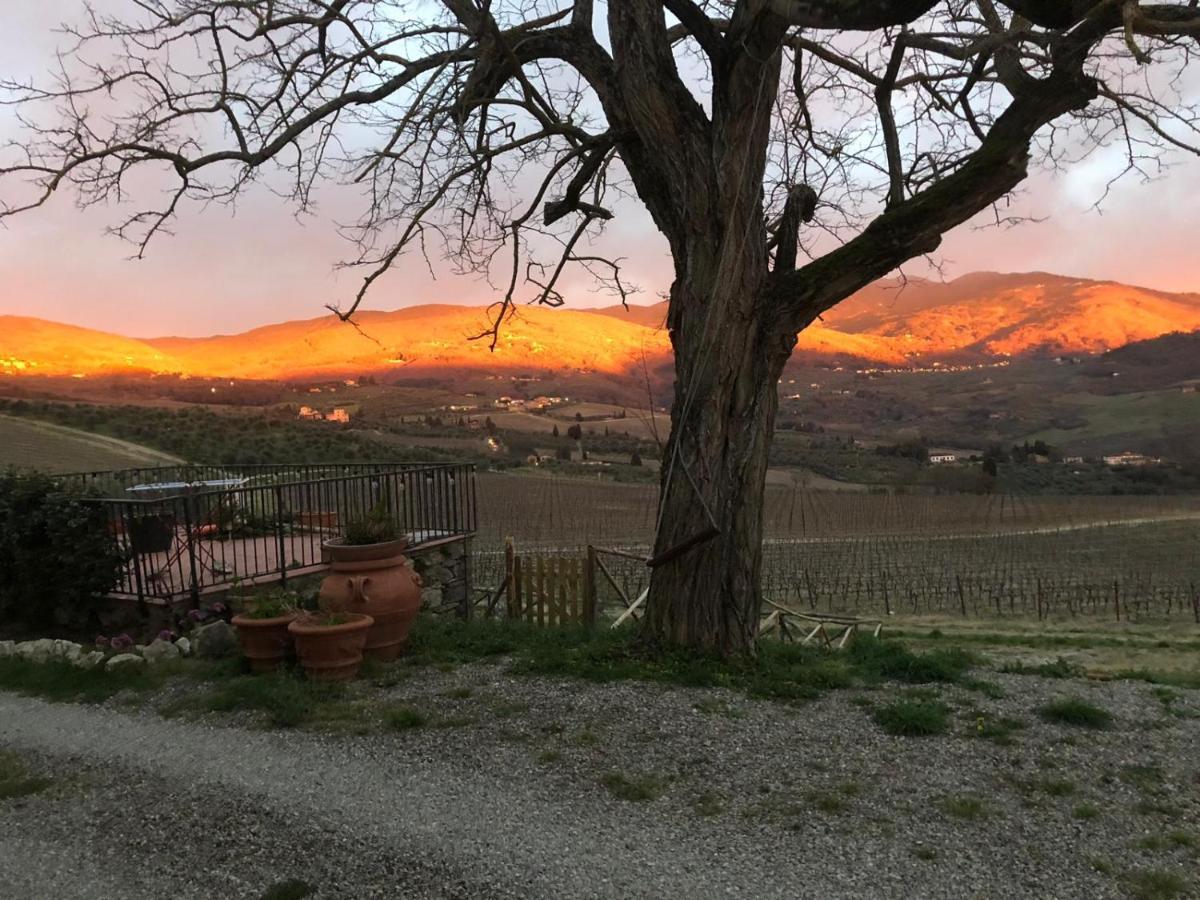 Azienda Agricola Il Poggiolino Villa Pelago Buitenkant foto