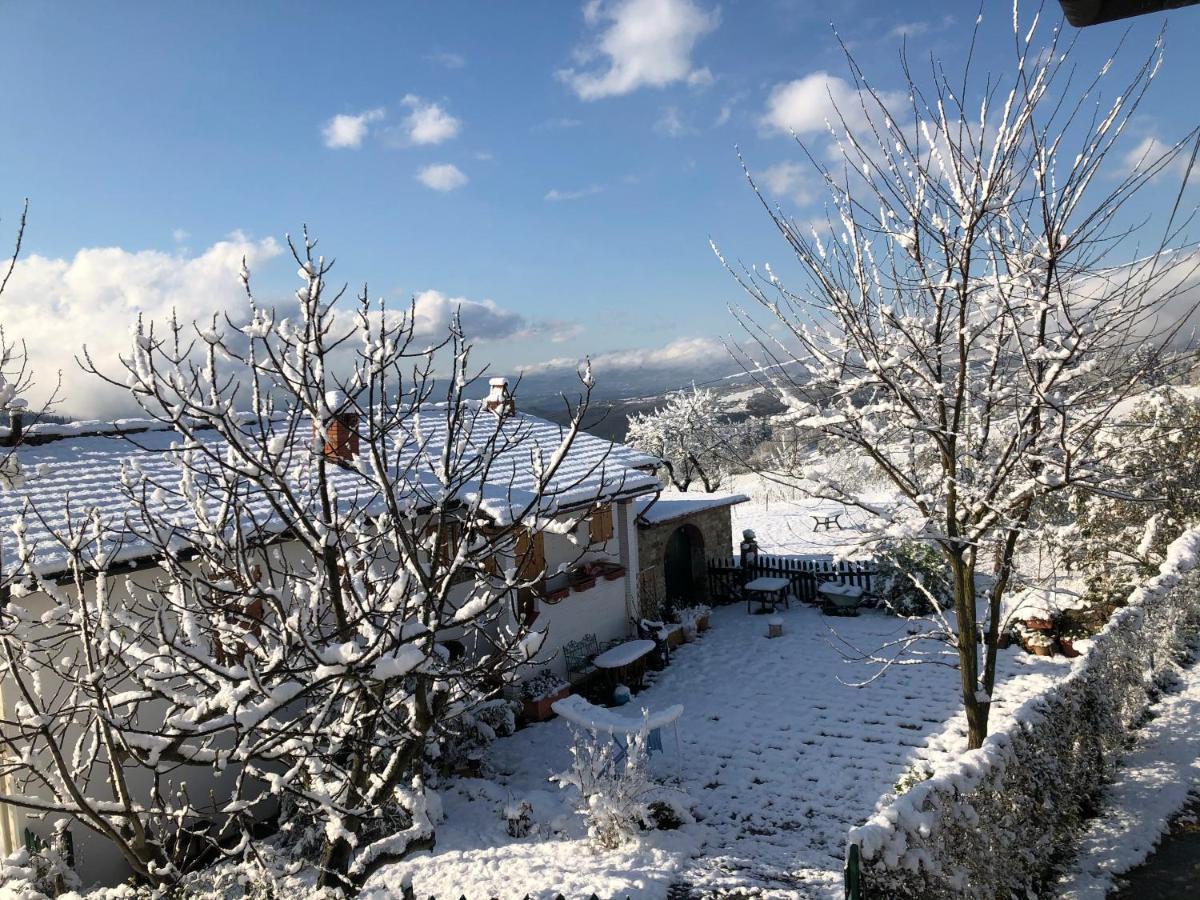 Azienda Agricola Il Poggiolino Villa Pelago Buitenkant foto