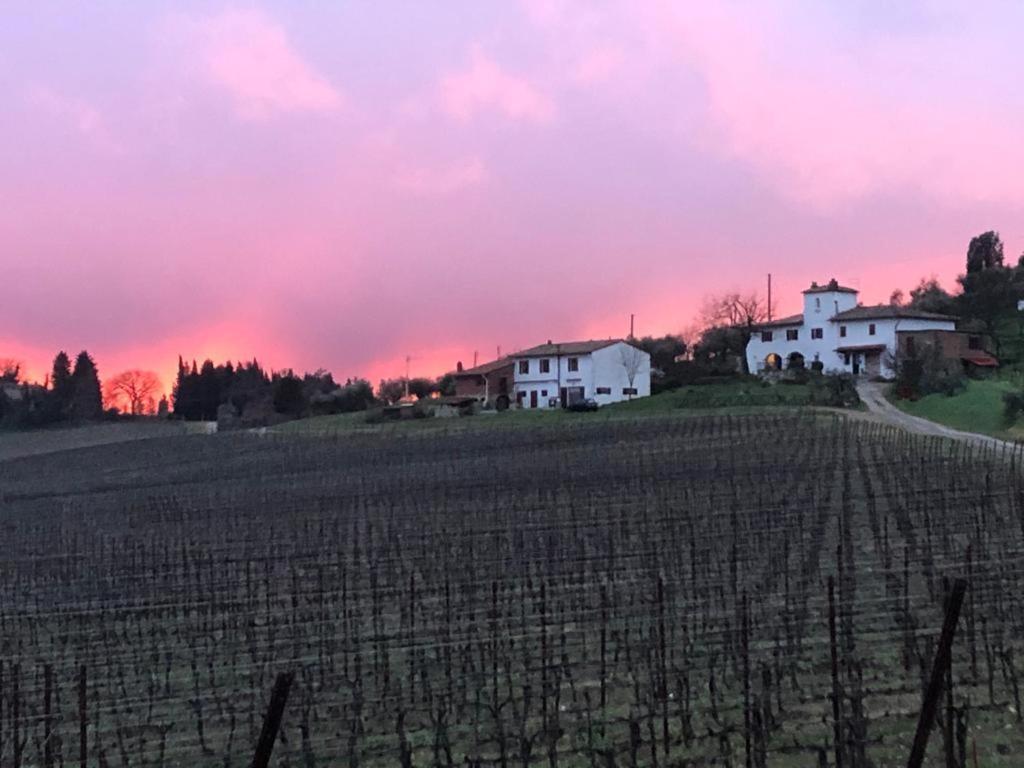 Azienda Agricola Il Poggiolino Villa Pelago Buitenkant foto